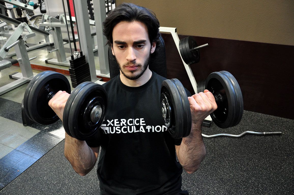Curl avec haltères assis – Seated dumbbell curl