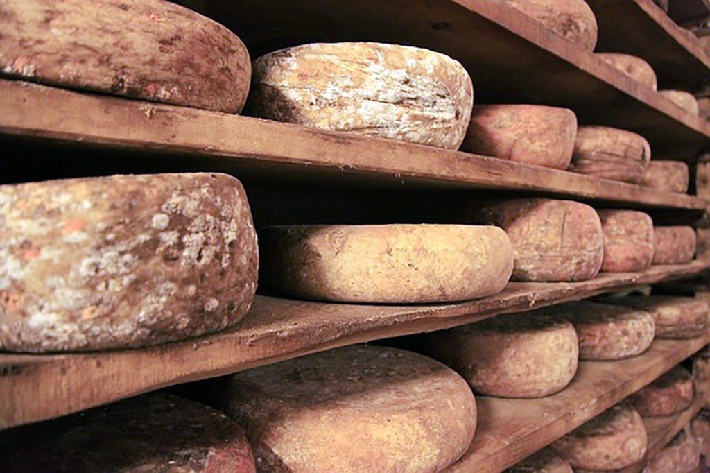 Un étale de fromages