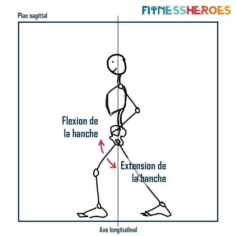 extension-hanche-plan-sagittal