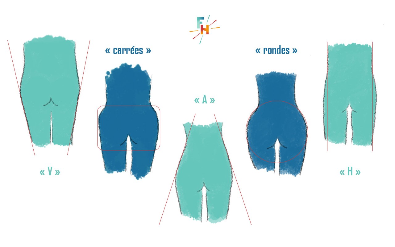 Formes des fesses et génétique