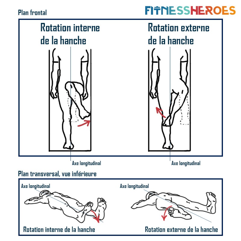 rotation-interne-externe-hanche